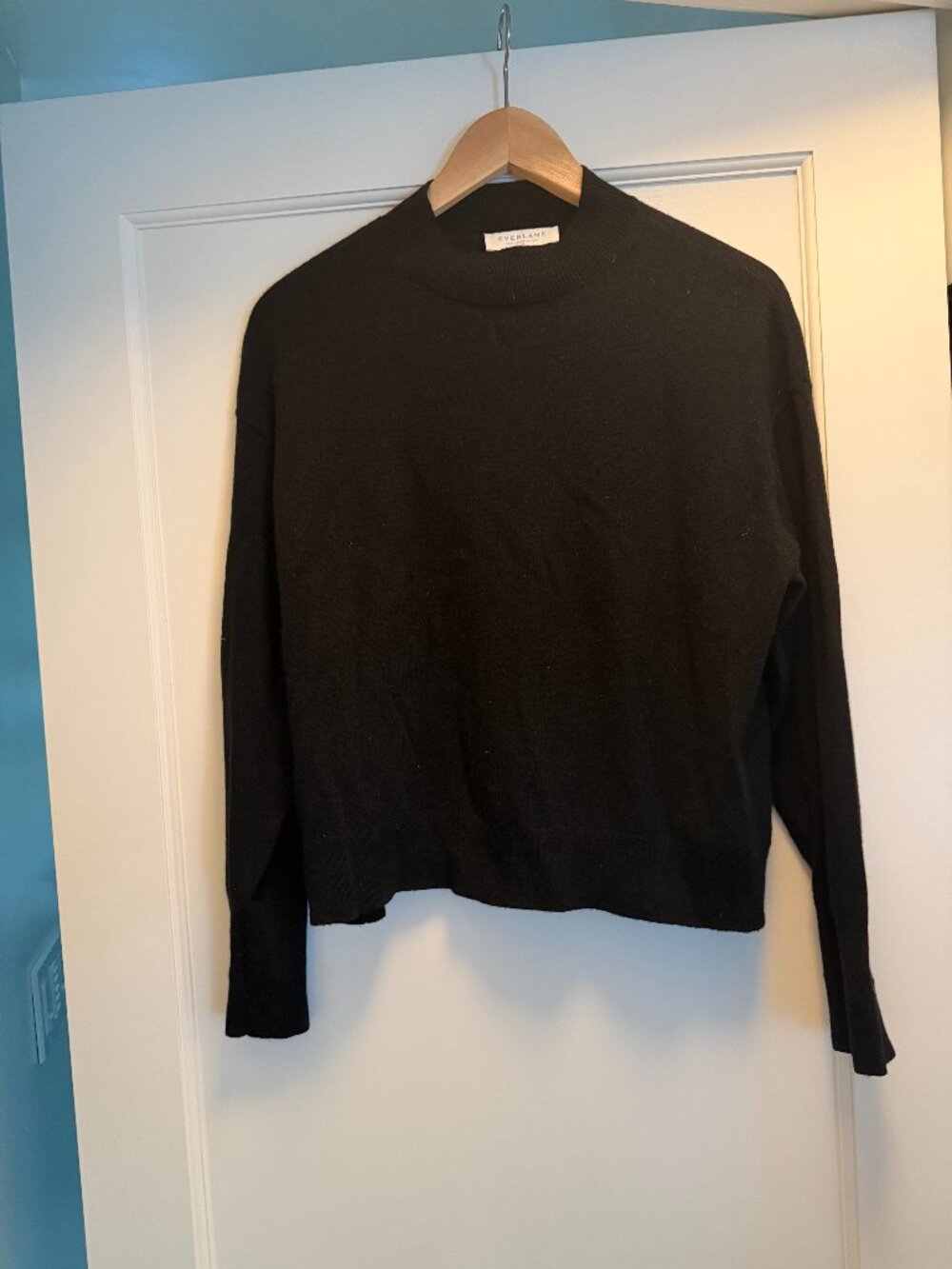 Everlane Black Mock Neck Sweater